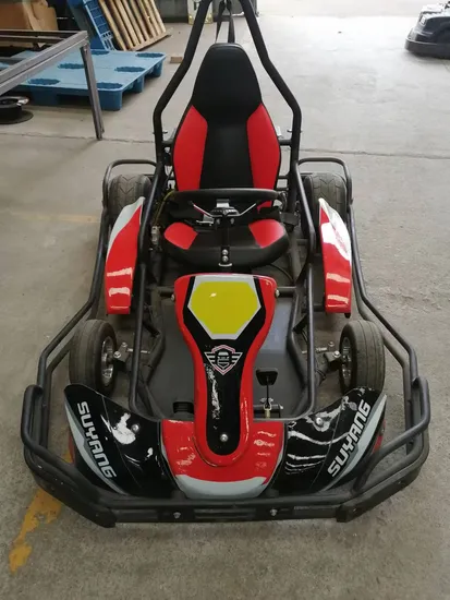 Go-kart elettrico a pedali 4x4 2WD per adolescenti, 2000 W, cronometrato, da corsa