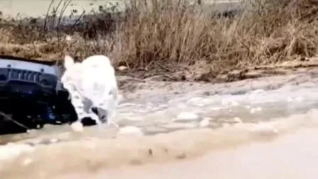 Jeep Kids Electric Car con doppio sedile, auto elettrica per bambini, giocattolo elettrico con alimentazione a batteria Kc