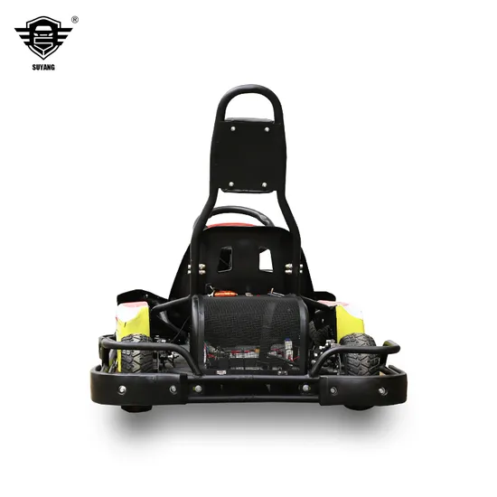 Go Kart per adulti 3000W Go Kart da corsa a quattro ruote Go Kart elettrico a pedali